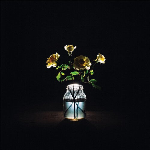 Copy of Billy Strings - Renewal (Lt. Ed., 2xLP, 180G Vinyl) - Blind Tiger Record Club