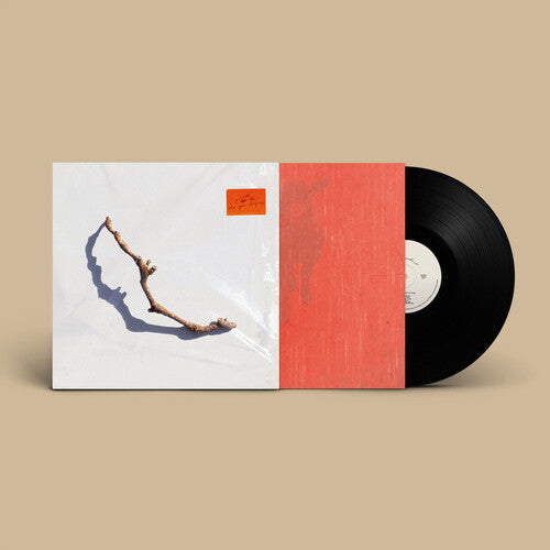 PJ Harvey -  I Inside The Old Year Dying - Blind Tiger Record Club