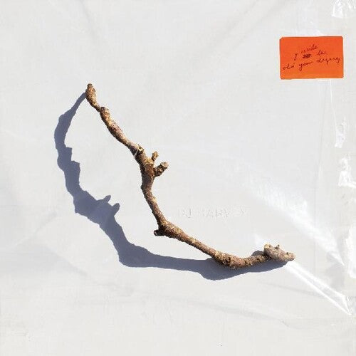 PJ Harvey -  I Inside The Old Year Dying - Blind Tiger Record Club