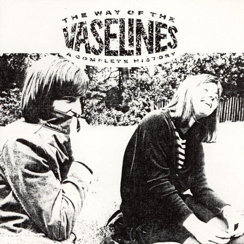 Vaselines - The Way of the Vaselines (Ltd. Ed. 2xLP Crystal Clear Vinyl) - Blind Tiger Record Club