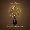 Fray - How to Save a Life (Ltd. Ed. 180G Vinyl) - Blind Tiger Record Club