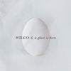 Wilco - A Ghost is Born (Ltd. Ed. 2xLP Blk Vinyl) - Blind Tiger Record Club