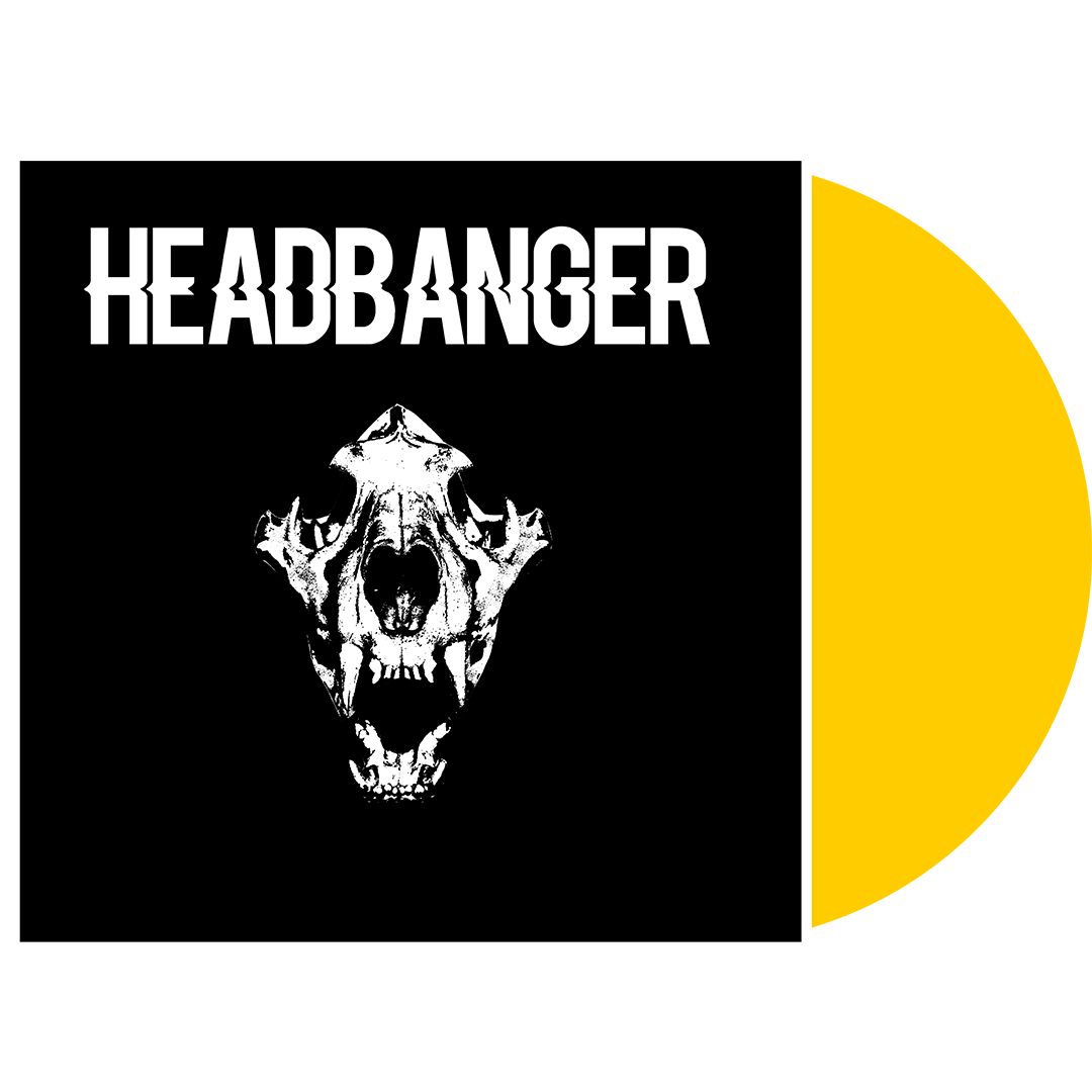 B.T.R.C. Vinyl Subscription - Blind Tiger Record Club