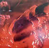 Arcade Fire - Pink Elephant (Ltd. Ed. Red Translucent w/ Pink Marble Vinyl, Booklet, book & Stickers)) - Blind Tiger Record Club