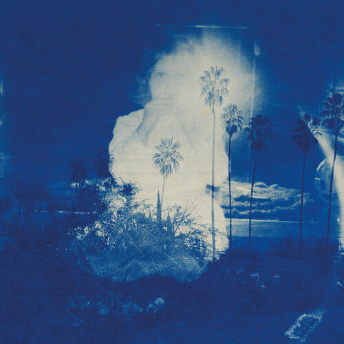 Fruit Bats - A River Running to Your Heart (Ltd. Ed. Blue Cream Vinyl) - Blind Tiger Record Club