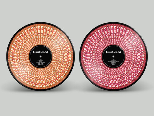 Glass Animals - How To Be A Human Being (Ltd. Ed. Picture Disk) - Blind Tiger Record Club