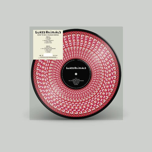 Glass Animals - How To Be A Human Being (Ltd. Ed. Picture Disk) - Blind Tiger Record Club