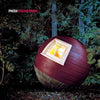 Phish - Round Room (Ltd. Ed. 180G Red & Gold 2xLP Vinyl, Gatefold) - Blind Tiger Record Club