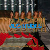 Feist - Multitudes (Ltd. Ed. Clear Vinyl) - Blind Tiger Record Club