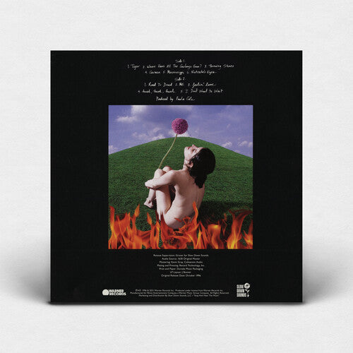 Paula Cole - This FireThis Fire (Ltd. Ed. Blue Vinyl, 140 Gram Vinyl) - Blind Tiger Record Club