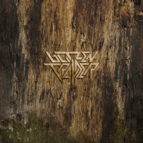 Blitzen Trapper - Furr (2XLP) - Blind Tiger Record Club