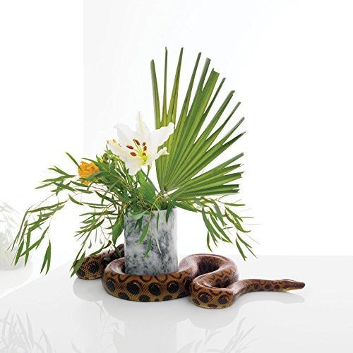 Noah Gundersen - White Noise - Blind Tiger Record Club