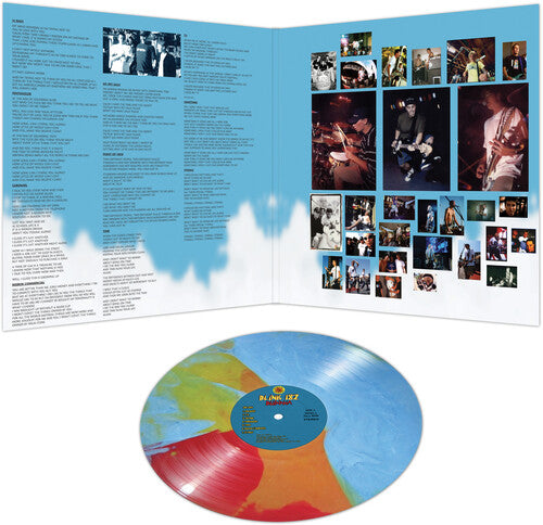 Blink-182 - Buddha (Ltd. Ed. Blue/Red/Yellow Stripe Vinyl) - Blind Tiger Record Club