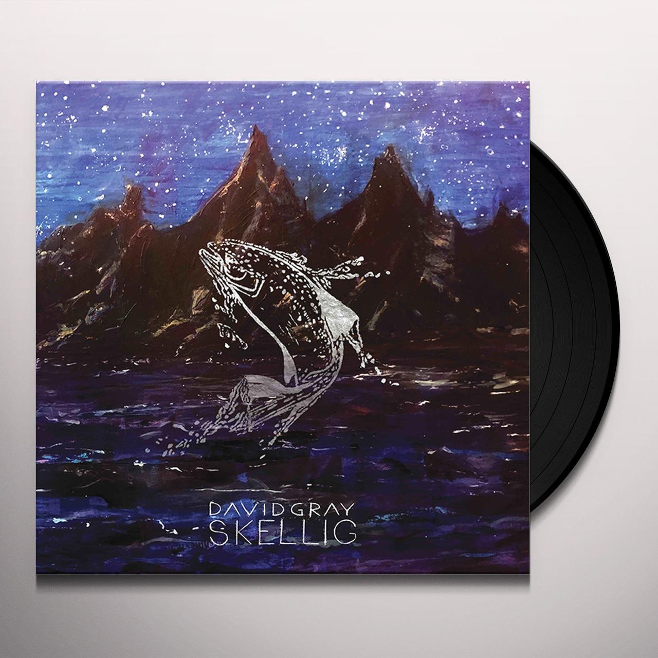 David Gray - Skellig (2XLP) - Blind Tiger Record Club