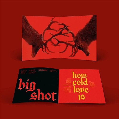 Fontaines D.C. - Skinty Fia (2xLP, Ltd. Ed. Deluxe Edition, 45 RPM, Artwork & Lyric Book) - Blind Tiger Record Club