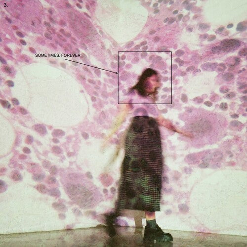 Soccer Mommy - Sometimes, Forever (Ltd. Ed. Pink/Black Vinyl) - Blind Tiger Record Club
