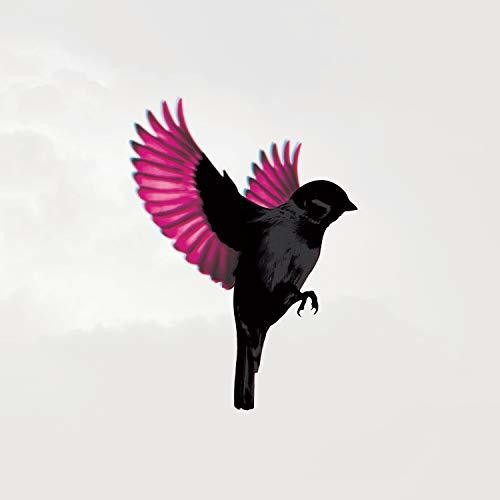 Jump, Little Children - Sparrow (Ltd. Ed. Pink & Blue 2XLP Vinyl, Canada Import) - Blind Tiger Record Club