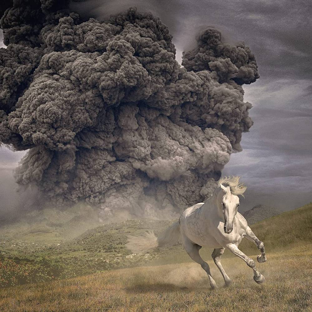 White Buffalo, The -  Year Of The Dark Horse (Ltd. Ed. Blue Vinyl) - Blind Tiger Record Club