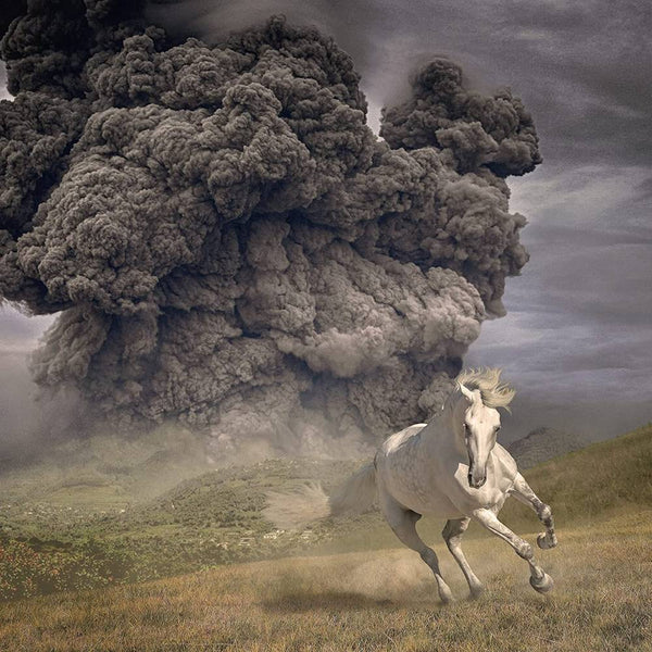 White Buffalo, The -  Year Of The Dark Horse (Ltd. Ed. Blue Vinyl) - Blind Tiger Record Club