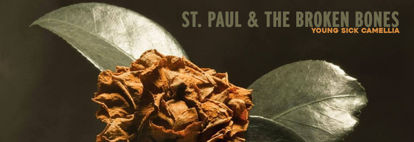 October Jazz Soul & Blues Record of the Month - St. Paul & the Broken Bones - Young Sick Camellia (Ltd. Ed. brown vinyl)