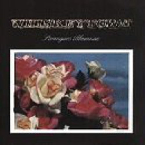 Whiskeytown - Stranger Almanac (Ltd. Ed. 2xLP Vinyl w/ bonus tracks)