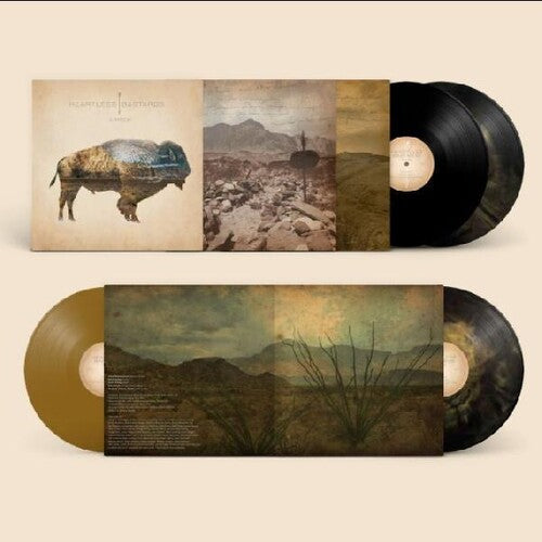 Heartless Bastards - Arrow (Ltd. Ed. 10th Anniversary, 2xLP Gold, Black Vinyl, 2000 Pressed) - Blind Tiger Record Club