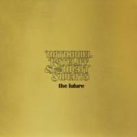 Nathaniel Rateliff & The Night Sweats - The Future (Ltd. Ed. 180G Black Ice Vinyl) - BTRC ROTM