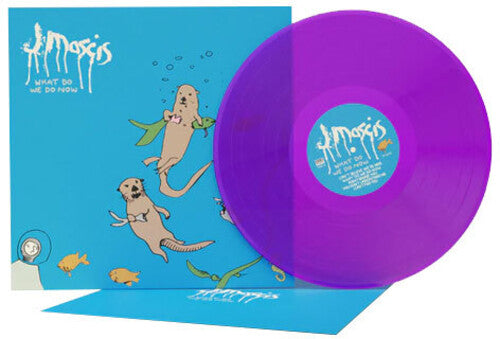 J Mascis - What Do We Do Now (Ltd. Ed. Clear, Purple Vinyl) - Blind Tiger Record Club