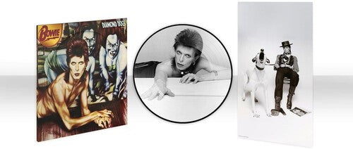 David Bowie - Diamond Dogs (Ltd. Ed. 50th Anniversary Picture Disc, Half-Speed) - Blind Tiger Record Club
