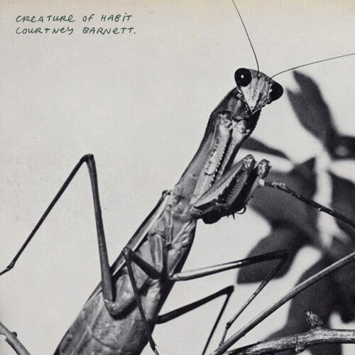 Courney Barnett - Creature of Habit (Ltd. Ed. 140G w/ Gatefold) - Blind Tiger Record Club