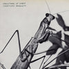 Courney Barnett - Creature of Habit (Ltd. Ed. 140G w/ Gatefold) - Blind Tiger Record Club