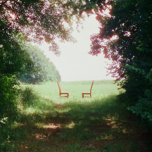 Ratboys - Singin' to an Empty Chair (Ltd. Ed. Green & Brown Marble 2xLP Vinyl) - BTRC ROTM - Blind Tiger Record Club