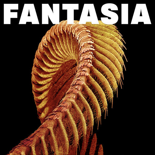 Slift - Fantasia (CD Format Blk w/ Gold Spiral)