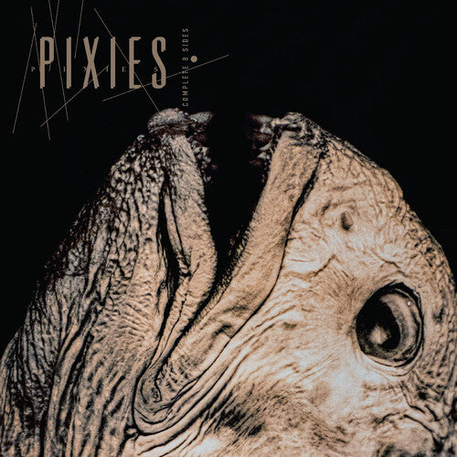 Pixies - Complete B Sides: 1988-97 (Ltd. Ed. Clear 2xLP Vinyl, 40th Anniversary)