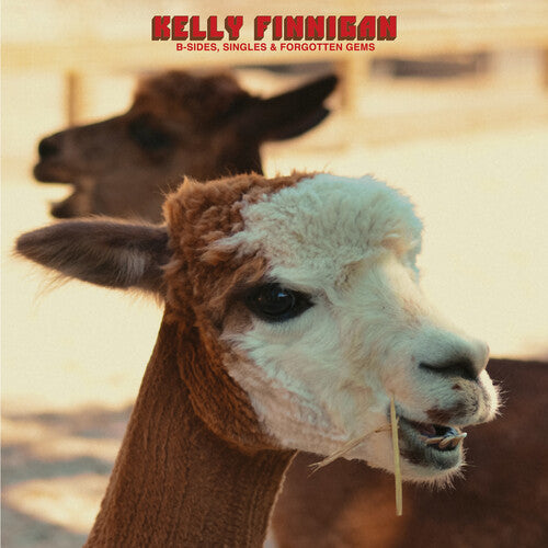 Kelly Finnigan -  B-Sides, Singles & Forgotten Gems (Blk Vinyl)