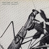 Courtney Barnett - Creature of Habit (Ltd. Ed. 140G Caramel Vinyl, Gatefold) - BTRC ROTM - Blind Tiger Record Club