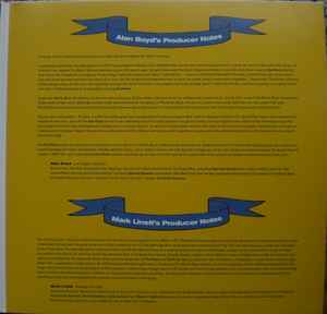 Beach Boys, The - Feel Flows The Sunflower & Surf's Up Sessions 1969-1971 (2XLP) - BTRC ROTM