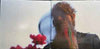 Stephen Wilson Jr - Søn of Dad (Ltd. Ed. 3xLP Opaque Maroon Vinyl w/ Trifold) - BTRC ROTM