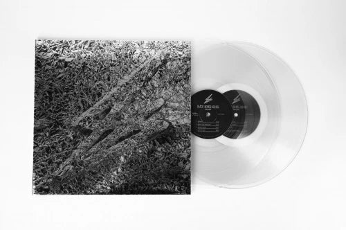 Say She She - Silver (Ltd. Ed. 2XLP Clear Vinyl) - BTRC ROTM