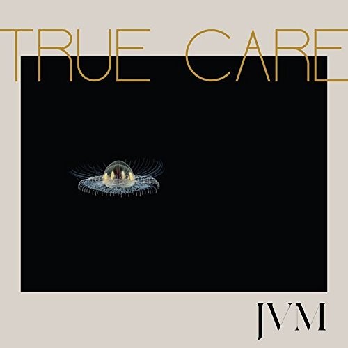 James Vincent McMorrow - True Care (2XLP) - Blind Tiger Record Club