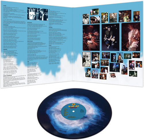 Blink-182 - Buddha (Ltd. Ed. Blue & White Haze Vinyl) - Blind Tiger Record Club