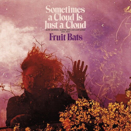 Fruit Bats - Sometimes a Cloud Is Just a Cloud: Slow Growers, Sleeper Hits and Lost Songs [2001-2021] (Ltd. Ed. Pink/Violet 2XLP) - Blind Tiger Record Club