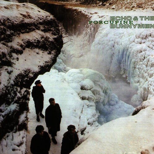 Echo & the Bunnymen - Porcupine (180G Vinyl Remastered) - Blind Tiger Record Club