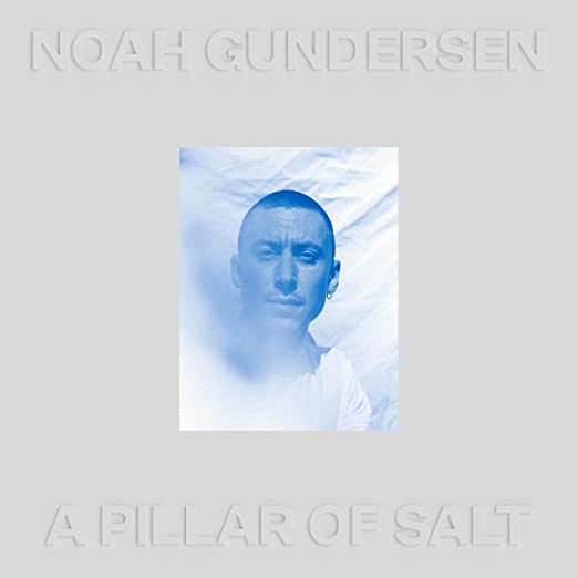 Noah Gundersen - A Pillar of Salt (Ltd. Ed. Clear Vinyl, 2xLP) - Blind Tiger Record Club