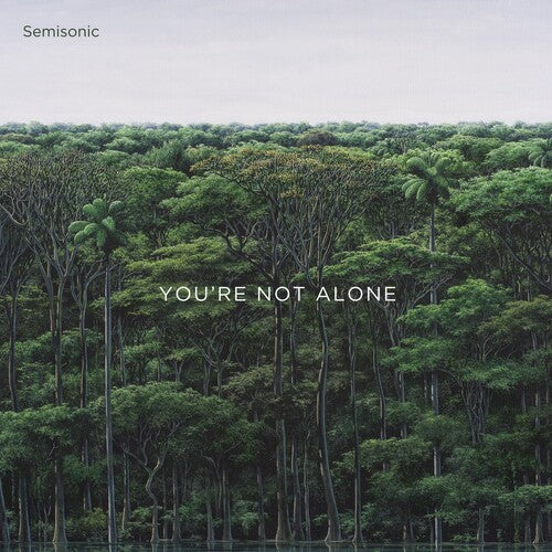 Semisonic - You're Not Alone - Blind Tiger Record Club