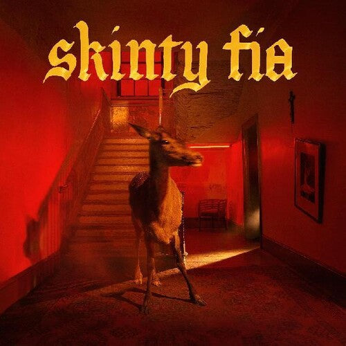 Fontaines D.C. - Skinty Fia (2xLP, Ltd. Ed. Deluxe Edition, 45 RPM, Artwork & Lyric Book) - Blind Tiger Record Club