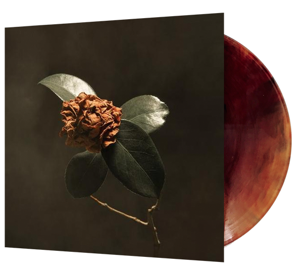 St. Paul & the Broken Bones - Young Sick Camellia (Ltd. Ed. Brown Vinyl) - Blind Tiger Record Club