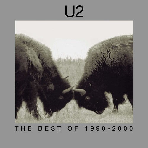 U2 - The Best Of 1990-2000 (180g, 2xLP) - Blind Tiger Record Club